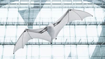 «Zorro» volador robótico: El asombroso murciélago robot de Festo