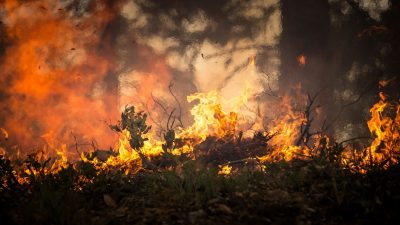 Dos adolescentes crean un sistema de alerta temprana de incendios