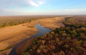 Los humanos han deteriorado un tercio de las áreas protegidas del mundo