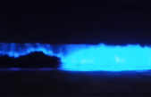 Un extraño fenómeno natural tiñe las playas de California de azul fluorescente