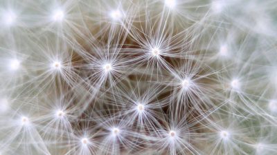 Científicos rusos mejoran el método de aprendizaje profundo de las redes neuronales
