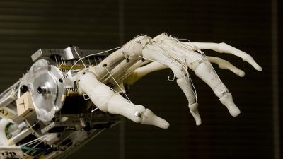 Cada vez más cerca de los humanos: сrean un robot con músculos vivos