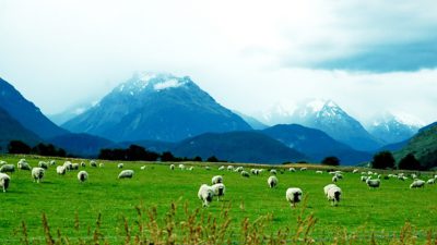 Estas son las dos cosas más importantes para reducir tu impacto en el medio ambiente, según amplio estudio