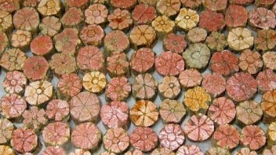 Las increíbles ‘piedras de flor de cereza’: una maravilla natural