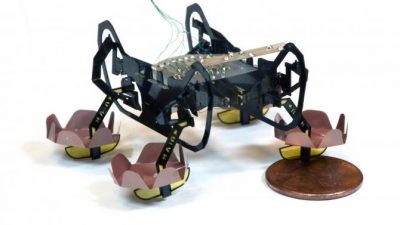 Robot cucaracha anfibio