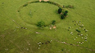 Nuevos geoglifos descubiertos en Brasil revelan los secretos de los habitantes del Amazonas de hace 2.500 años