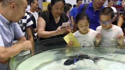 El poder de los robots está en plena exhibición en Beijing