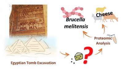 El queso más antiguo del mundo aparece en una tumba egipcia