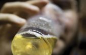 El alcohol mata a más de tres millones de personas al año, la mayoría hombres