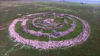 Enigmáticas ruinas en los Altos del Golán: Gilgal Refaím o Círculo de Gigantes