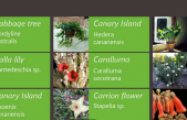Plant Finder: Enciclopedia de plantas para amantes de la botánica