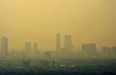 Contaminación ambiental causa ‘enorme’ reducción de inteligencia, según inquietante estudio