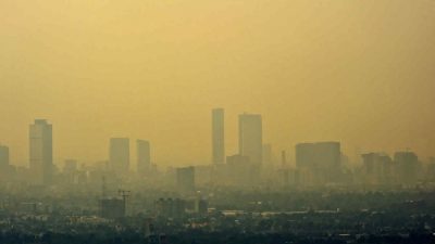 Contaminación ambiental causa ‘enorme’ reducción de inteligencia, según inquietante estudio