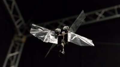 El robot que imita las acrobacias de las moscas