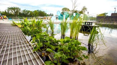La piscina ecológica y sostenible que no usa tratamientos químicos