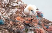 Ocean Cleanup: cómo limpiar el océano de plástico de una vez por todas