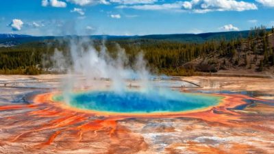 ¿Cuál es el ancestro común de todos los seres vivos?