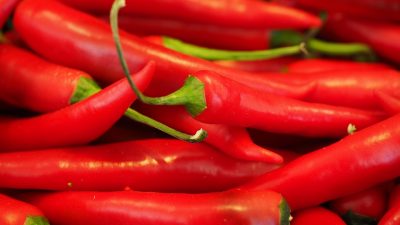 Capsaicina, la molécula picante contra la obesidad