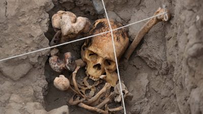 Arqueólogos polacos encuentran restos humanos de más de 100.000 años