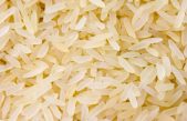 China cosecha con éxito arroz de agua salada que podría alimentar a 80 millones de personas