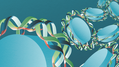 El origen de la “misteriosa” periodicidad en el genoma
