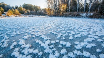 Misteriosas flores de hielo ‘crecen’ en la superficie congelada de un río en Rusia