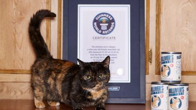 Las cosas más curiosas del Guinness World Records 2019