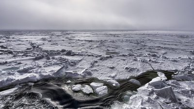 Arctida: la parte del supercontinente de Rodinia del que los rusos escribieron la biografía