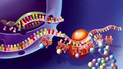 Proteínas diseñadas por IA