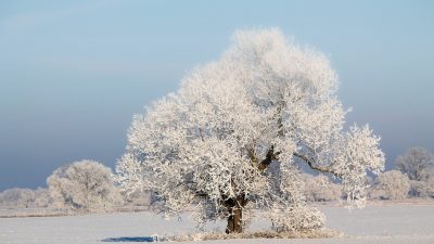 Solsticio de invierno: 10 cosas que tienes saber sobre el invierno que empieza hoy