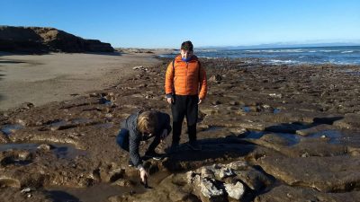 Una familia de Miramar encontró de casualidad los restos fósiles de un perezoso gigante