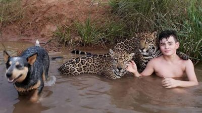 Niño brasileño que vive con jaguares en reserva genera admiración y controversia