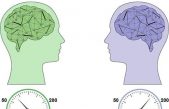 La dinámica del cerebro es la misma para todas las personas