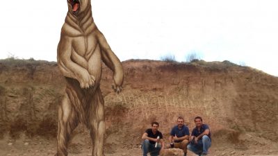 Descubren un oso gigante de 700.000 años de antigüedad en San Pedro