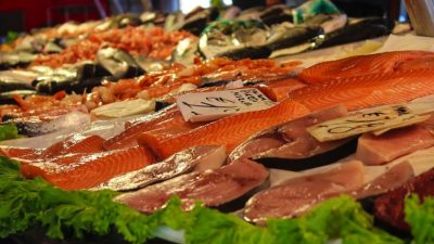 ¿Cuáles son los pescados más sanos?