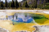 ‘Cazan’ en Yellowstone una bacteria que ‘se come’ la contaminación y produce electricidad