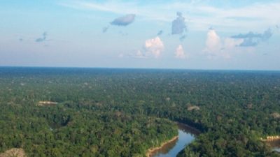 La ‘invasión’ humana altera la calidad del aire de la selva amazónica