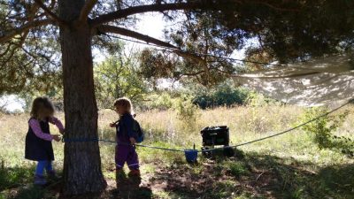 Escuelas-bosque: nueva alternativa en la educación infantil