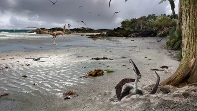 Descubren que los pterodáctilos eran capaces de volar nada más nacer