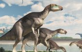 Descubren una manada de dinosaurios en Australia