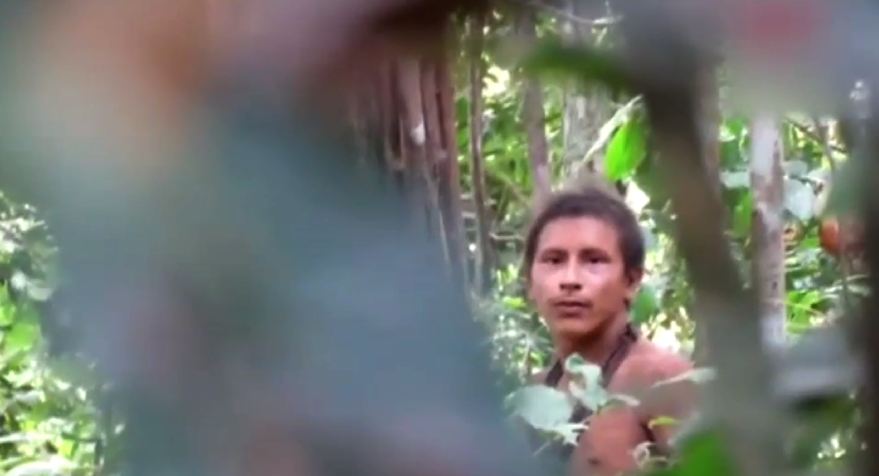 Graban a una de las últimas tribus aisladas del Amazonas, la «más amenazada del planeta»