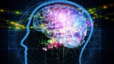 ¿Qué profesiones hacen que el cerebro se encoja?