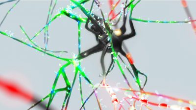 El cerebro piensa en paralelo, como los superordenadores