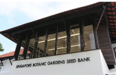 Singapur inaugura su primer banco de semillas