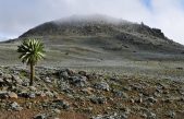 4.000 metros sobre el nivel del mar: descubren el asentamiento humano de gran altitud más antiguo conocido