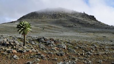 4.000 metros sobre el nivel del mar: descubren el asentamiento humano de gran altitud más antiguo conocido