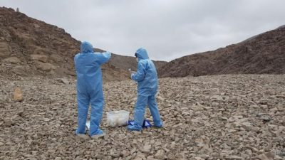 Confirmado: las bacterias vuelan y viven hasta en el lugar más marciano de la Tierra