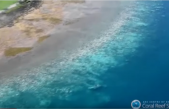 La Gran Barrera de Coral de Australia se encuentra en “muy malas” condiciones a causa del cambio climático