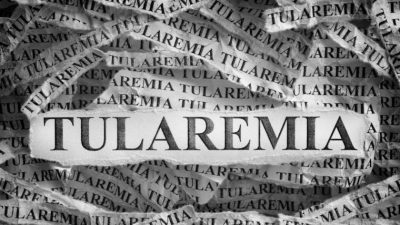 ¿Qué es la tularemia? Causas y síntomas