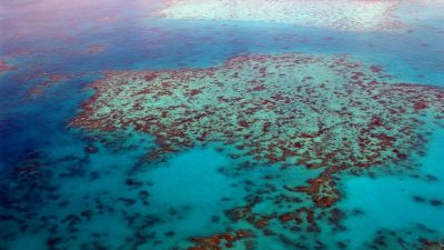 Impresión 3D para ayudar a recuperar las barreras de coral